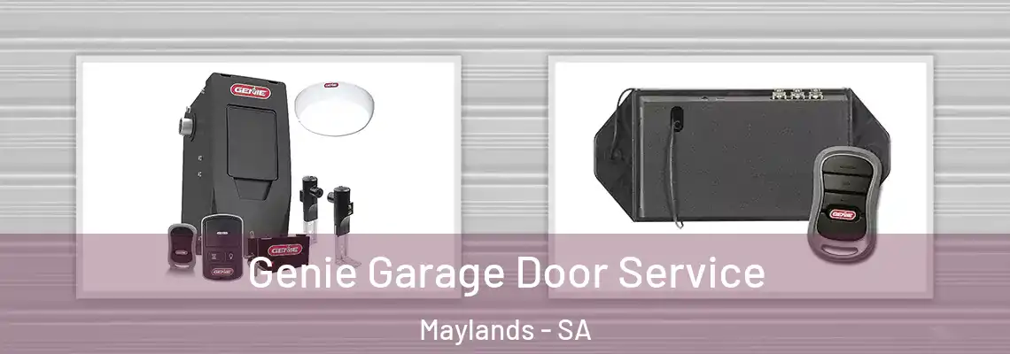  Genie Garage Door Service Maylands - SA