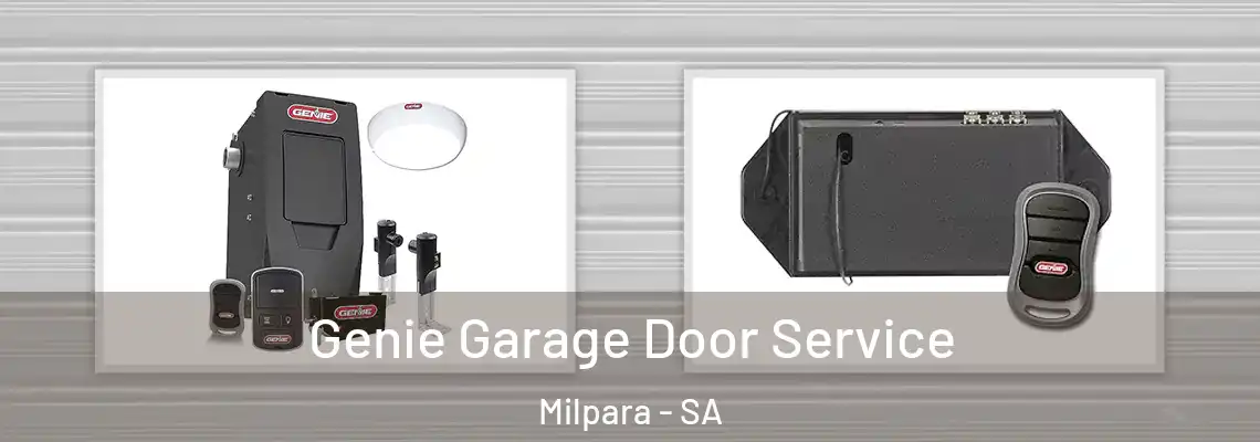 Genie Garage Door Service Milpara - SA
