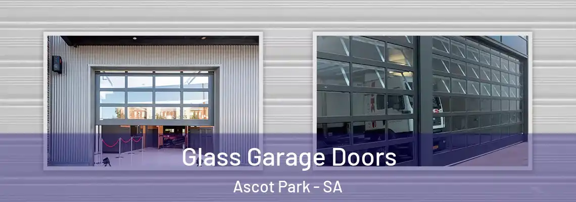  Glass Garage Doors Ascot Park - SA