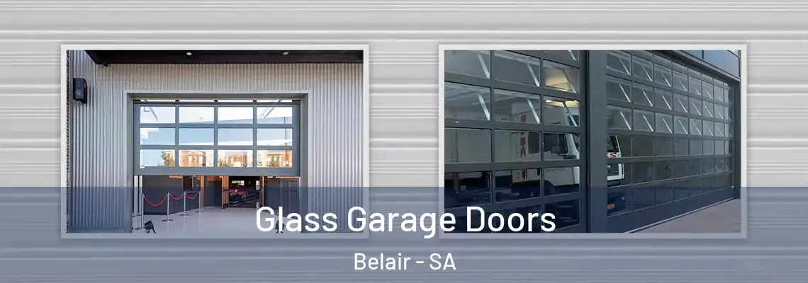 Glass Garage Doors Belair - SA