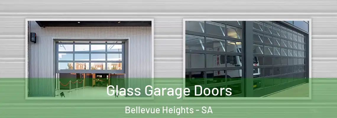  Glass Garage Doors Bellevue Heights - SA