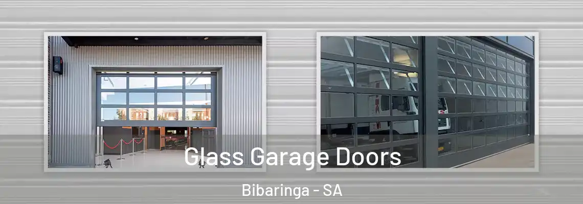  Glass Garage Doors Bibaringa - SA