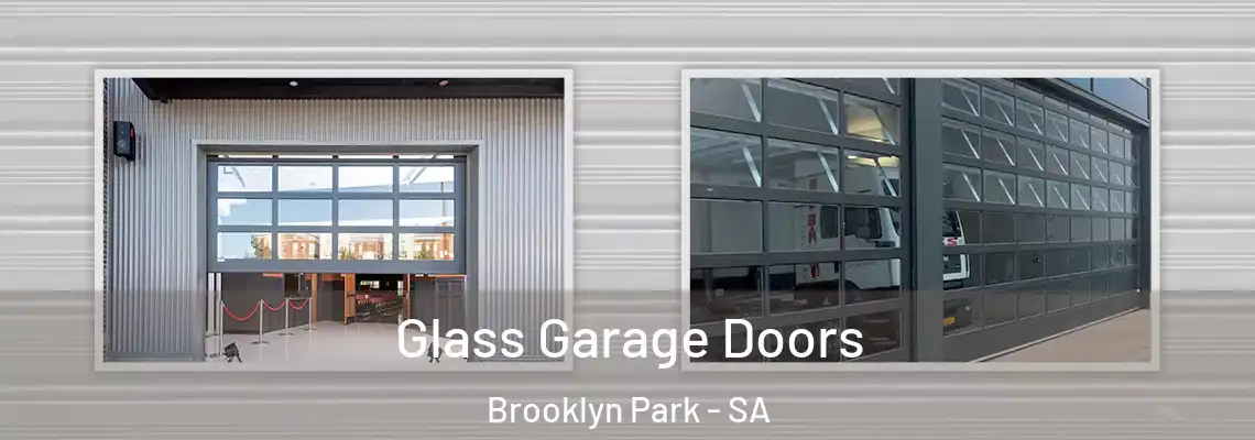 Glass Garage Doors Brooklyn Park - SA