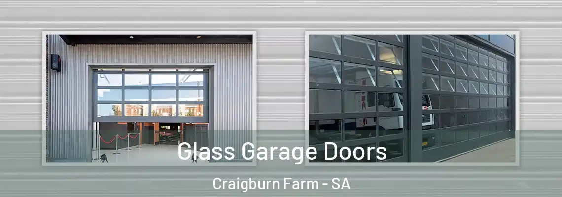  Glass Garage Doors Craigburn Farm - SA