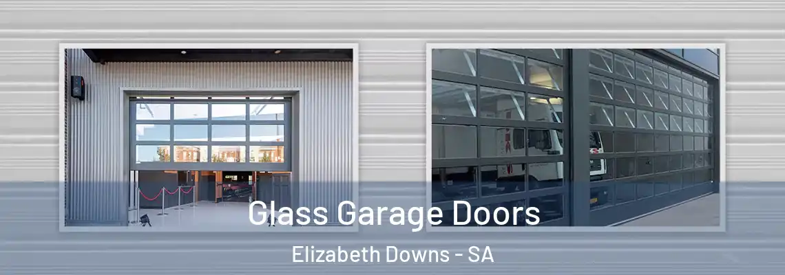  Glass Garage Doors Elizabeth Downs - SA