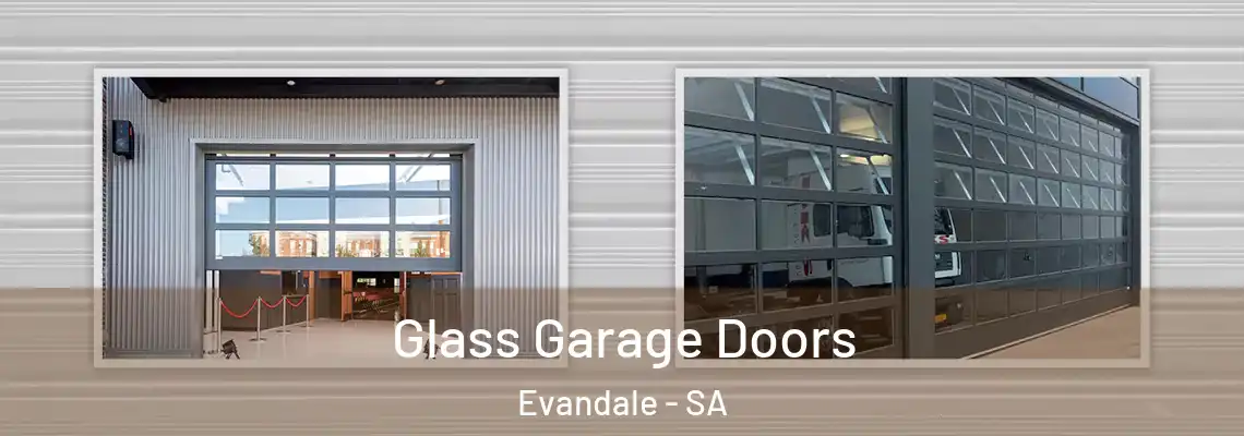 Glass Garage Doors Evandale - SA