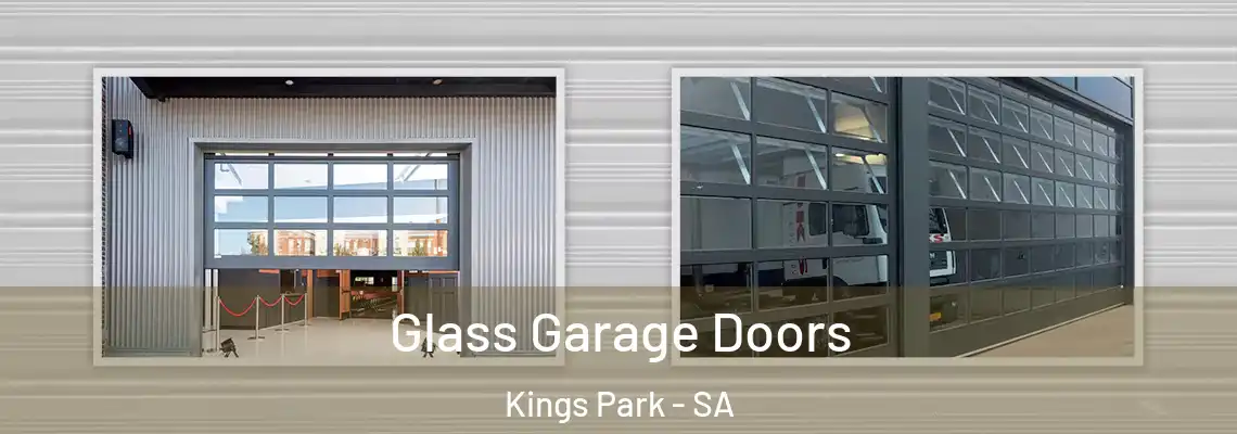 Glass Garage Doors Kings Park - SA