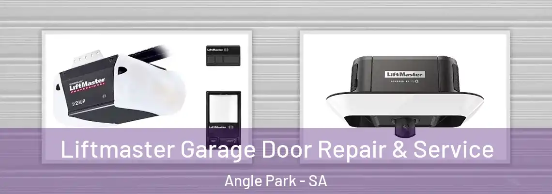 Liftmaster Garage Door Repair & Service Angle Park - SA
