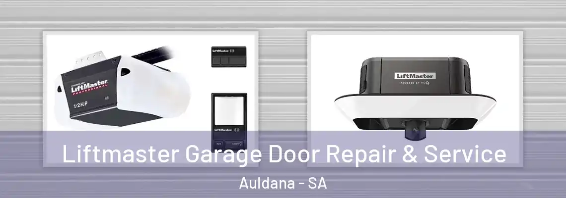 Liftmaster Garage Door Repair & Service Auldana - SA