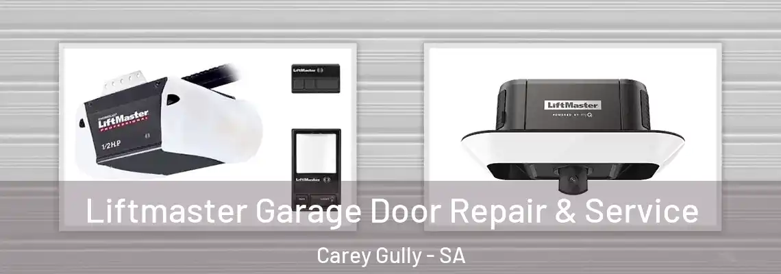  Liftmaster Garage Door Repair & Service Carey Gully - SA