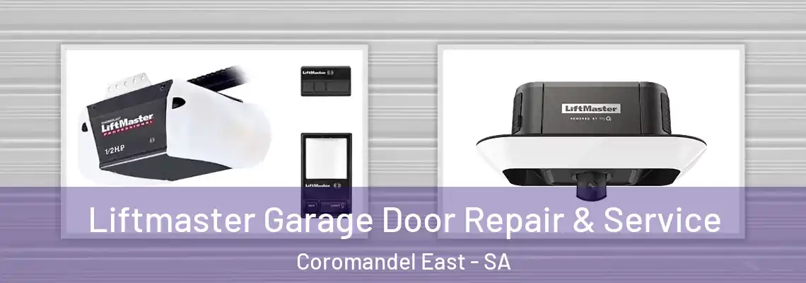  Liftmaster Garage Door Repair & Service Coromandel East - SA