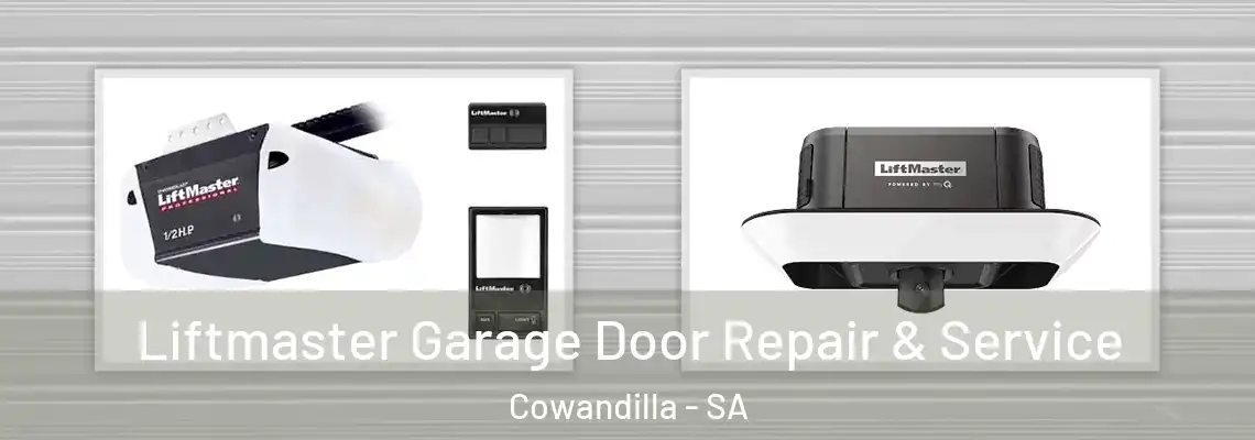 Liftmaster Garage Door Repair & Service Cowandilla - SA