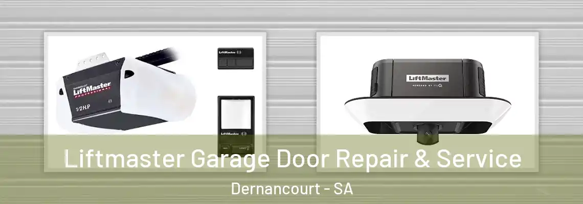 Liftmaster Garage Door Repair & Service Dernancourt - SA