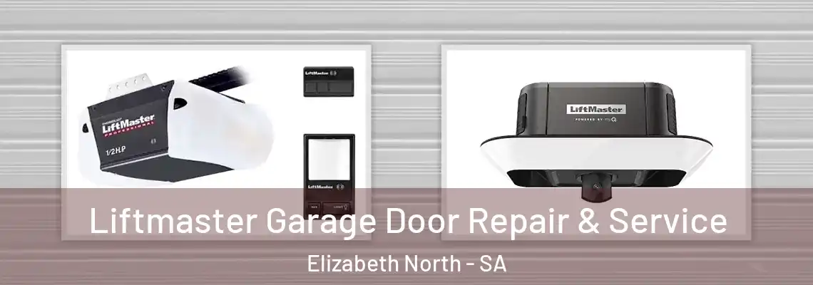 Liftmaster Garage Door Repair & Service Elizabeth North - SA