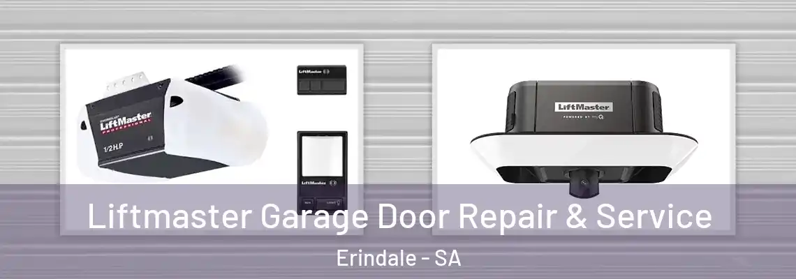 Liftmaster Garage Door Repair & Service Erindale - SA