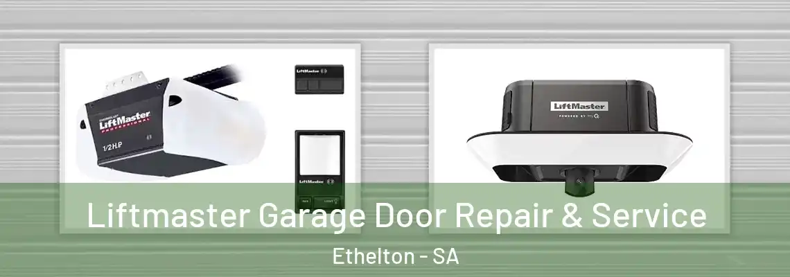Liftmaster Garage Door Repair & Service Ethelton - SA