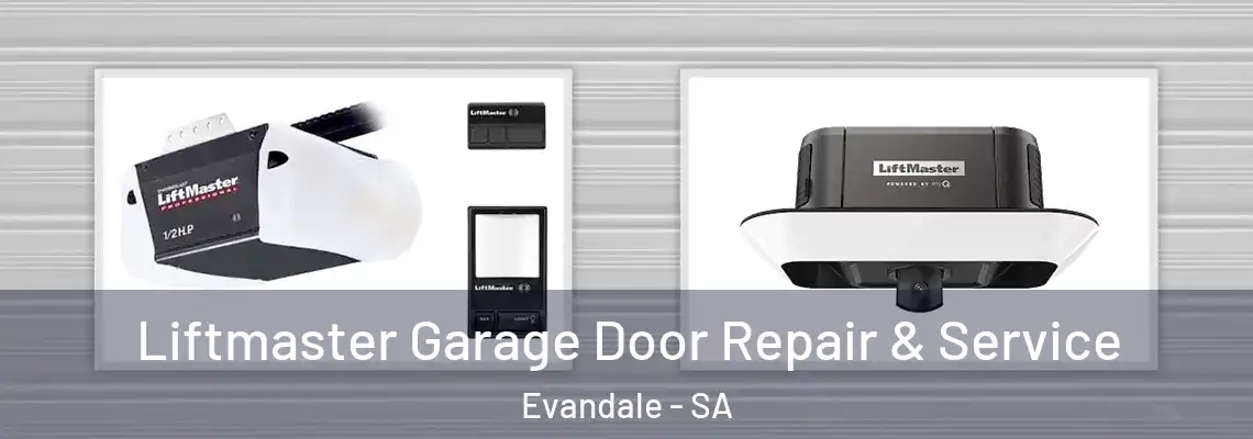 Liftmaster Garage Door Repair & Service Evandale - SA