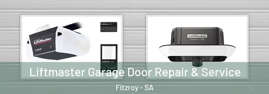  Liftmaster Garage Door Repair & Service Fitzroy - SA