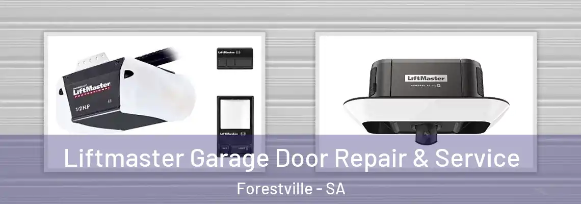Liftmaster Garage Door Repair & Service Forestville - SA