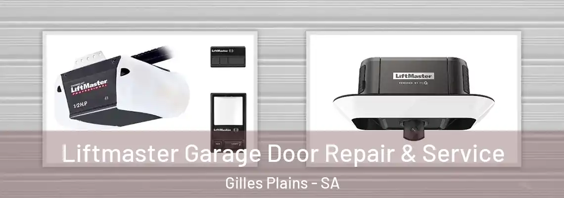 Liftmaster Garage Door Repair & Service Gilles Plains - SA