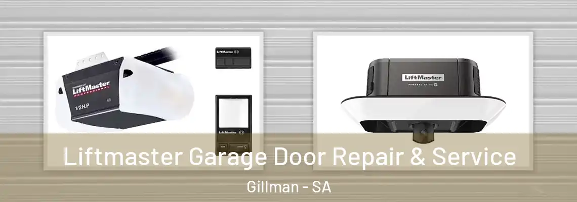  Liftmaster Garage Door Repair & Service Gillman - SA
