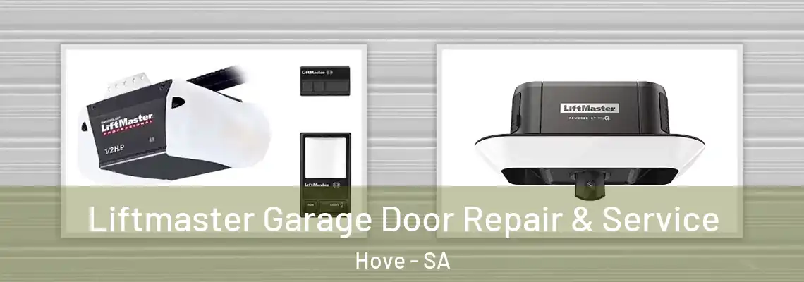 Liftmaster Garage Door Repair & Service Hove - SA