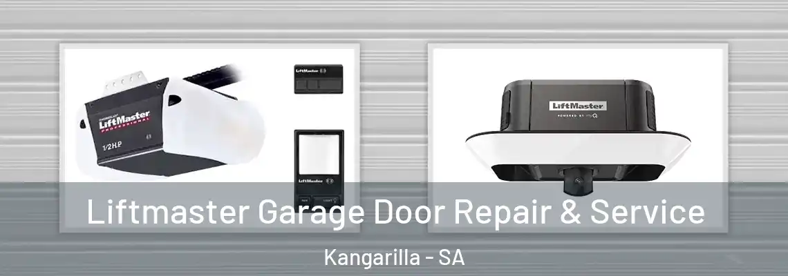 Liftmaster Garage Door Repair & Service Kangarilla - SA