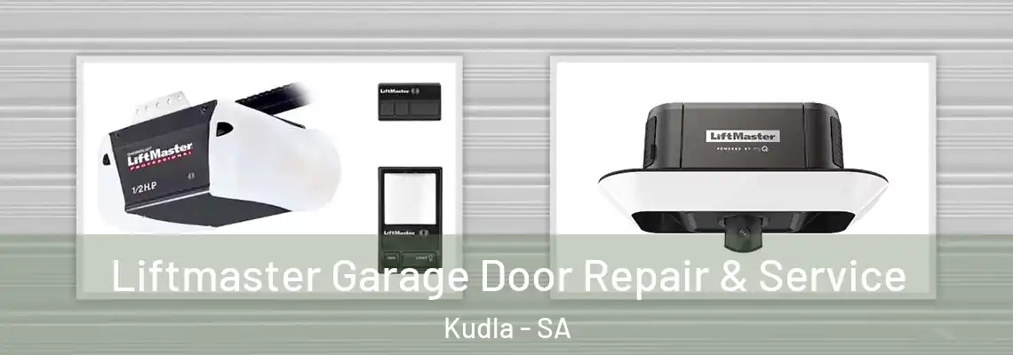  Liftmaster Garage Door Repair & Service Kudla - SA