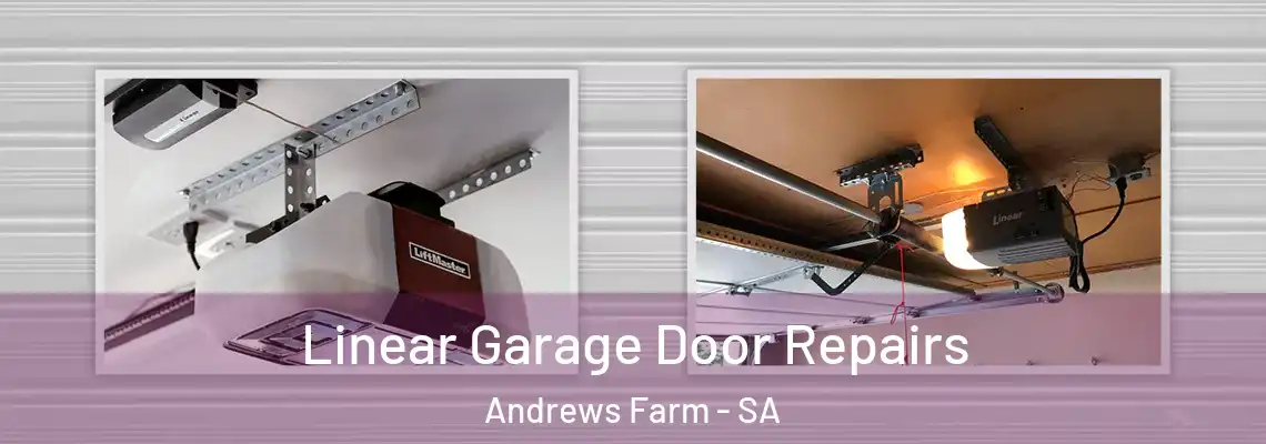 Linear Garage Door Repairs Andrews Farm - SA