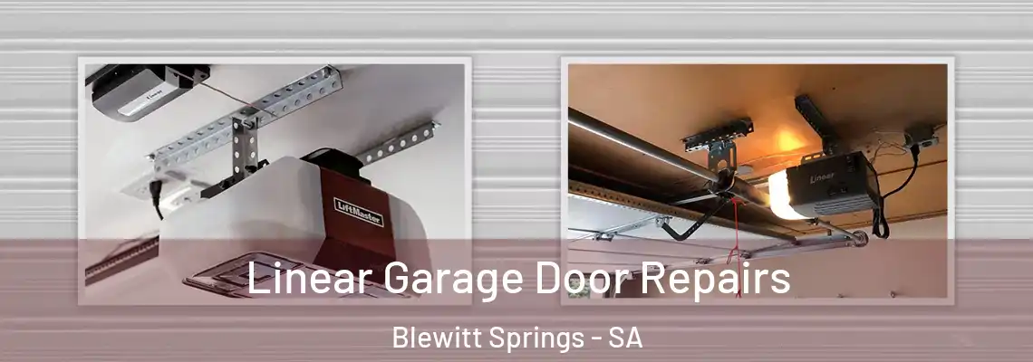 Linear Garage Door Repairs Blewitt Springs - SA