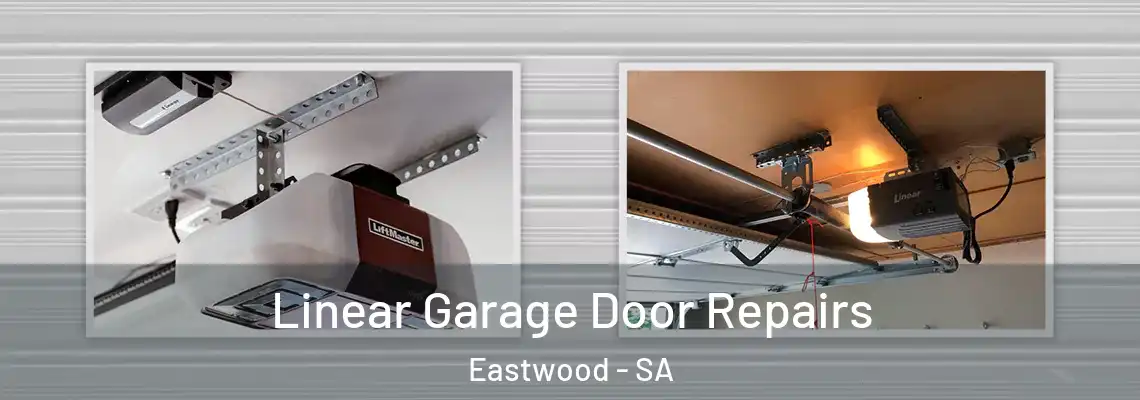  Linear Garage Door Repairs Eastwood - SA