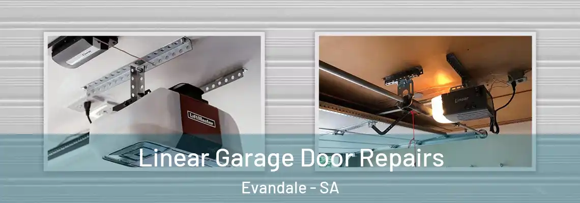 Linear Garage Door Repairs Evandale - SA
