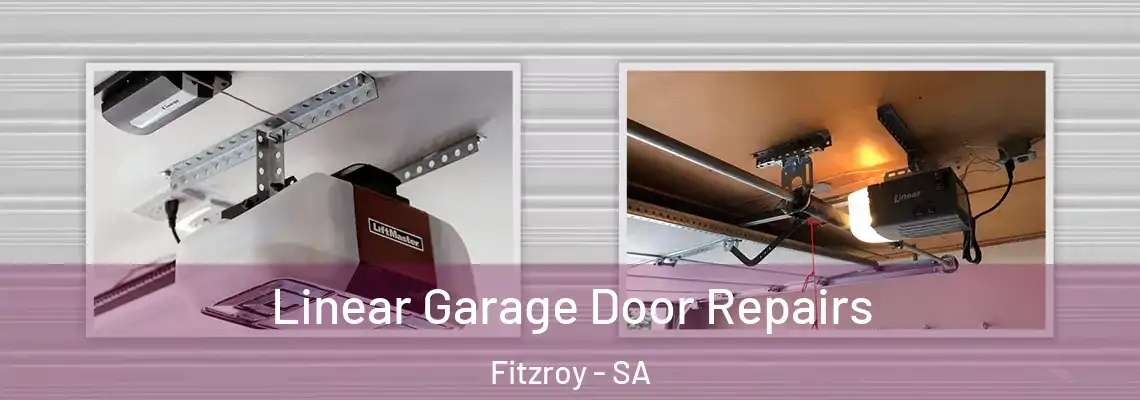 Linear Garage Door Repairs Fitzroy - SA