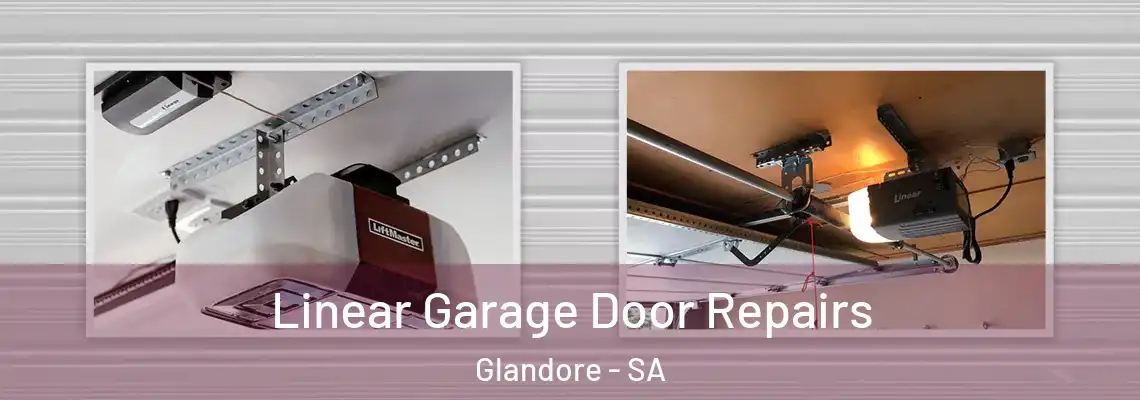 Linear Garage Door Repairs Glandore - SA