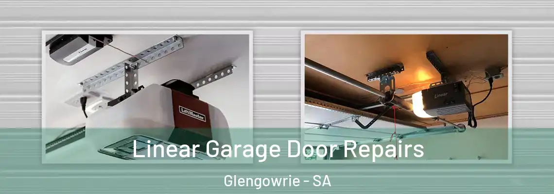  Linear Garage Door Repairs Glengowrie - SA