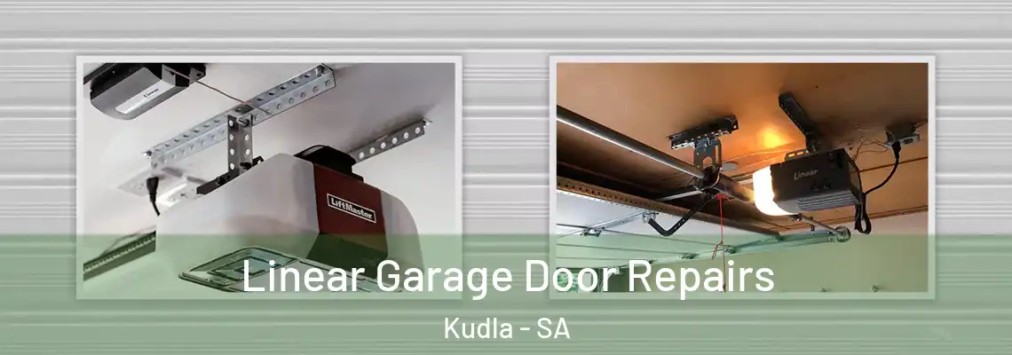  Linear Garage Door Repairs Kudla - SA