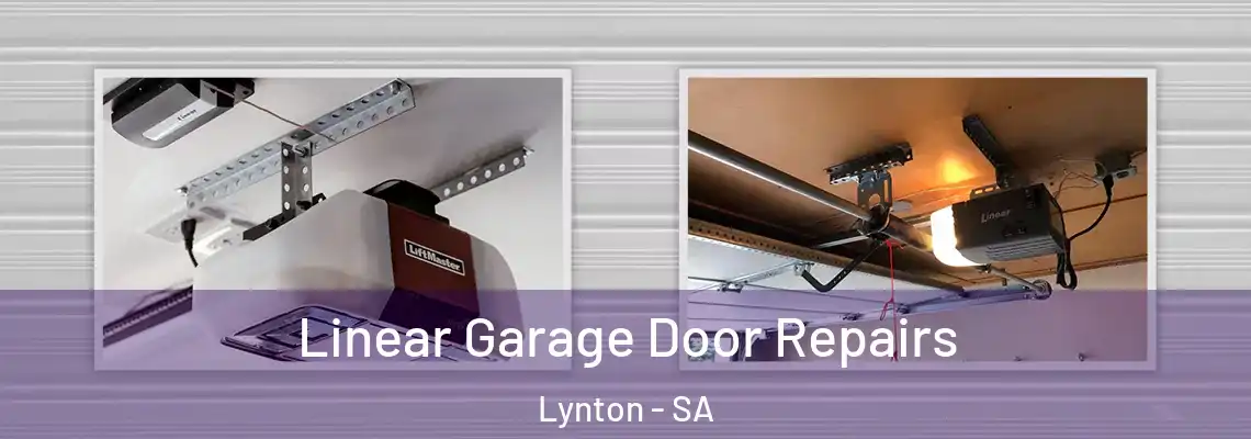  Linear Garage Door Repairs Lynton - SA