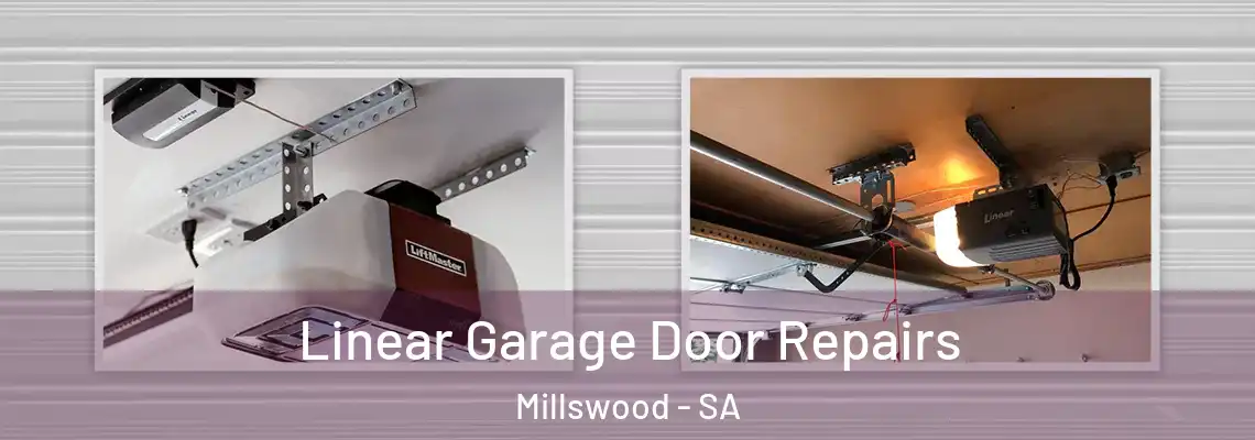 Linear Garage Door Repairs Millswood - SA