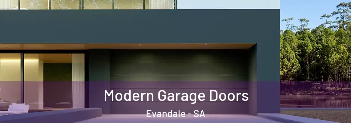  Modern Garage Doors Evandale - SA