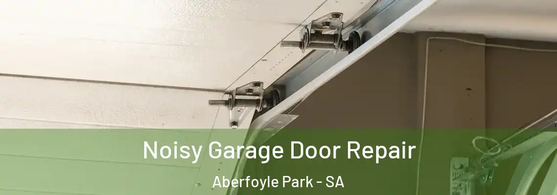  Noisy Garage Door Repair Aberfoyle Park - SA