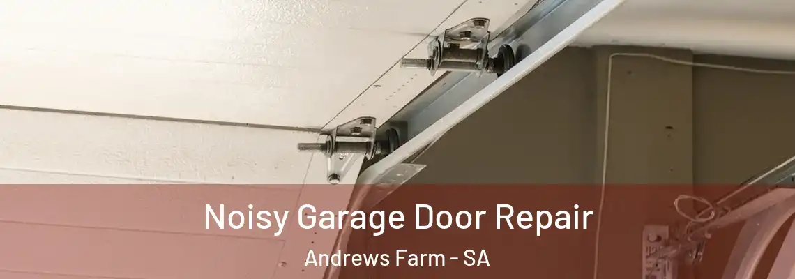  Noisy Garage Door Repair Andrews Farm - SA
