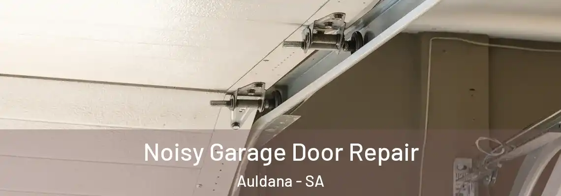 Noisy Garage Door Repair Auldana - SA