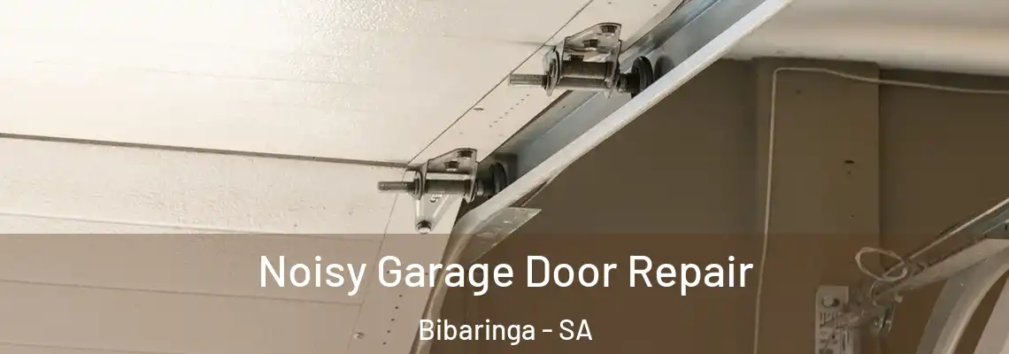 Noisy Garage Door Repair Bibaringa - SA