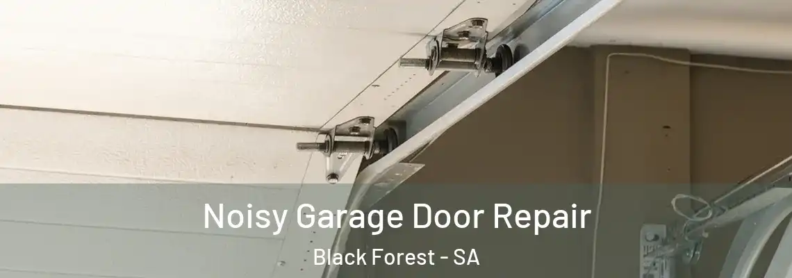 Noisy Garage Door Repair Black Forest - SA