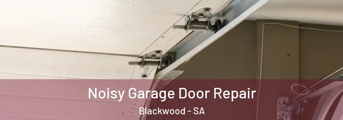  Noisy Garage Door Repair Blackwood - SA