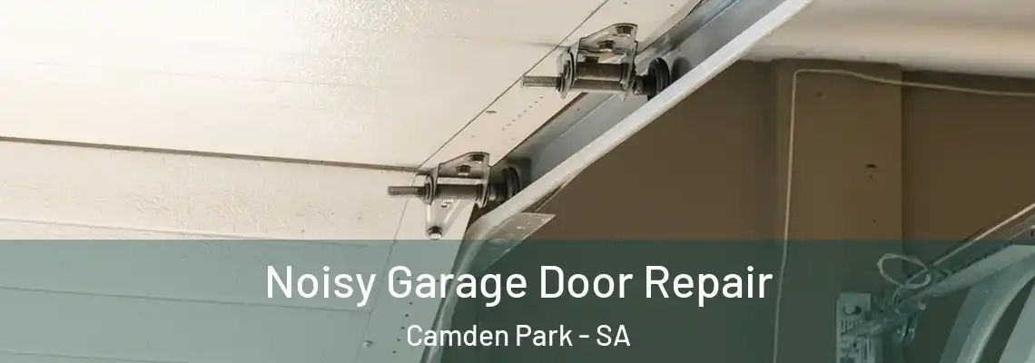 Noisy Garage Door Repair Camden Park - SA