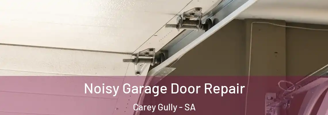 Noisy Garage Door Repair Carey Gully - SA