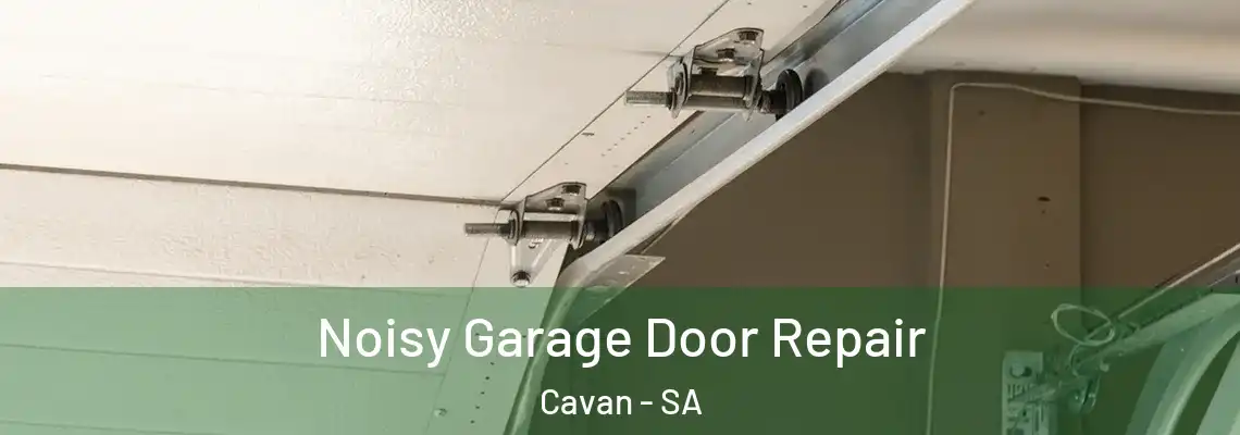  Noisy Garage Door Repair Cavan - SA