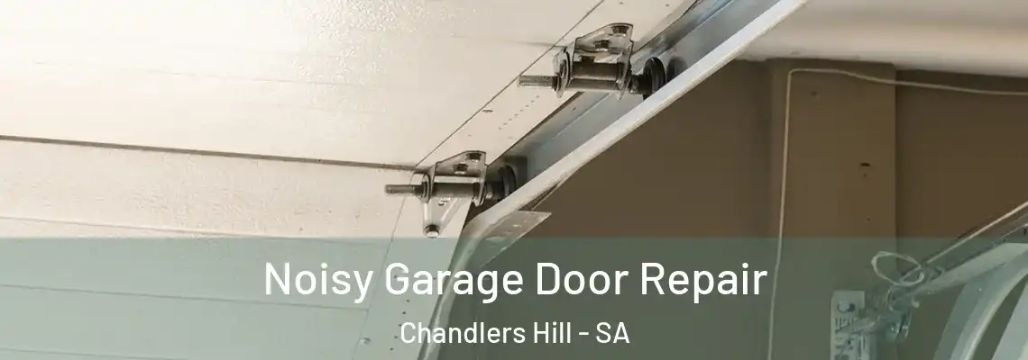  Noisy Garage Door Repair Chandlers Hill - SA