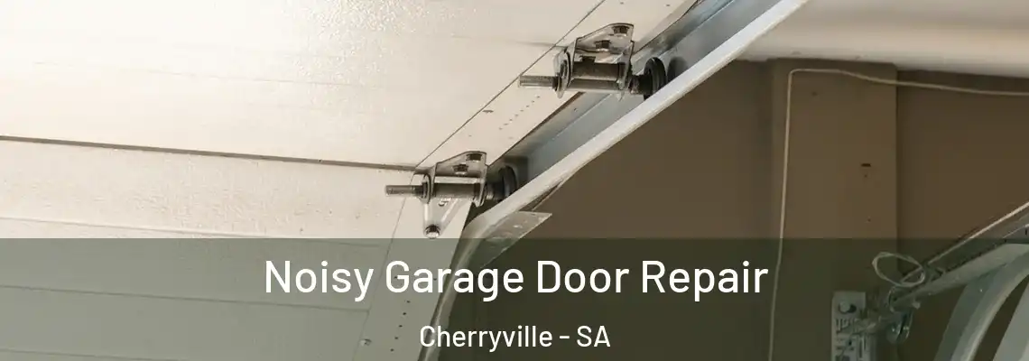  Noisy Garage Door Repair Cherryville - SA
